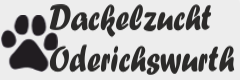 Dackelzucht Oderichswurth